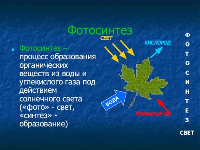 Фотосинтез Фотосинтез – процесс образования органических веществ из воды и углекислого газа