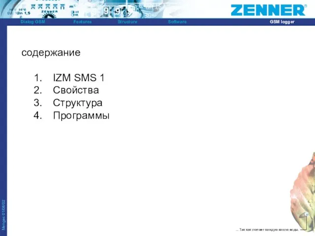 содержание IZM SMS 1 Свойства Структура Программы