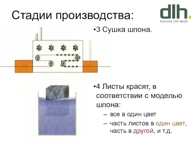 Стадии производства: 3 Сушка шпона. 4 Листы красят, в соответствии с моделью