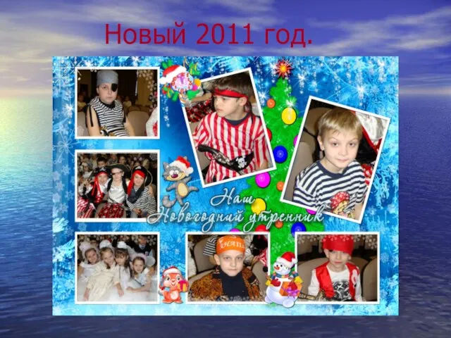 Новый 2011 год.