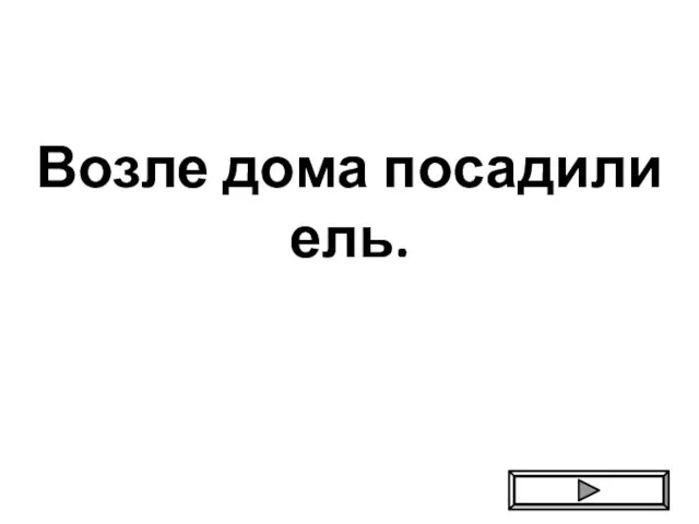 Возле дома посадили ель.