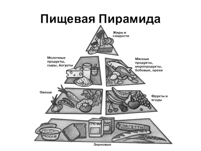 Пищевая Пирамида