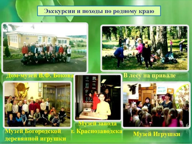 Экскурсии и походы по родному краю Дом-музей В.Ф. Бокова Музей Игрушки Музей