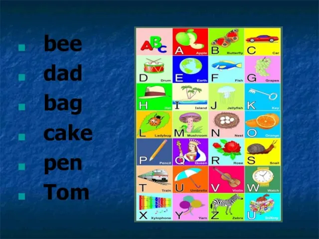 bee dad bag cake pen Tom