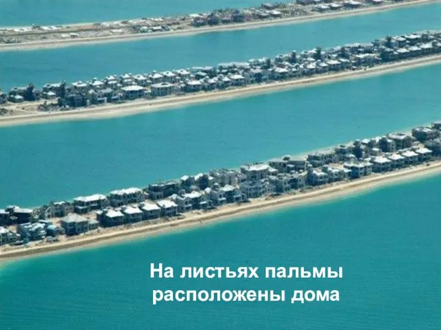 На листьях пальмы расположены дома