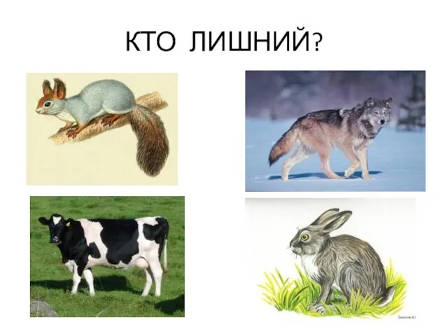 КТО ЛИШНИЙ?