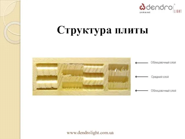 Структура плиты www.dendrolight.com.ua