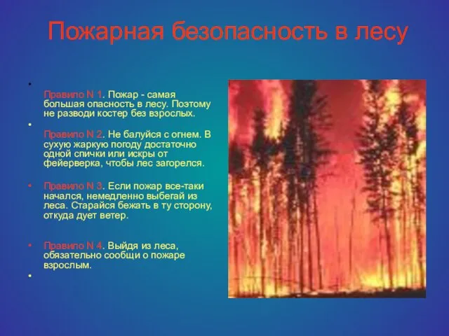 Пожарная безопасность в лесу Правило N 1. Пожар - самая большая опасность