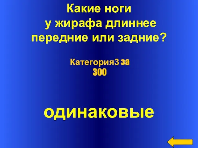 Какие ноги у жирафа длиннее передние или задние? одинаковые Категория3 за 300