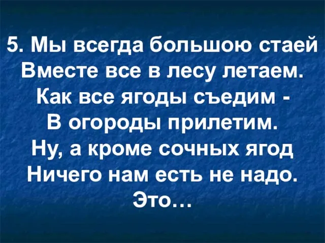 5. Мы всегда большою стаей Вместе все в лесу летаем. Как все