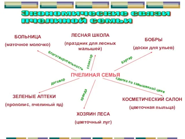 Экономические связи пчелиной семьи