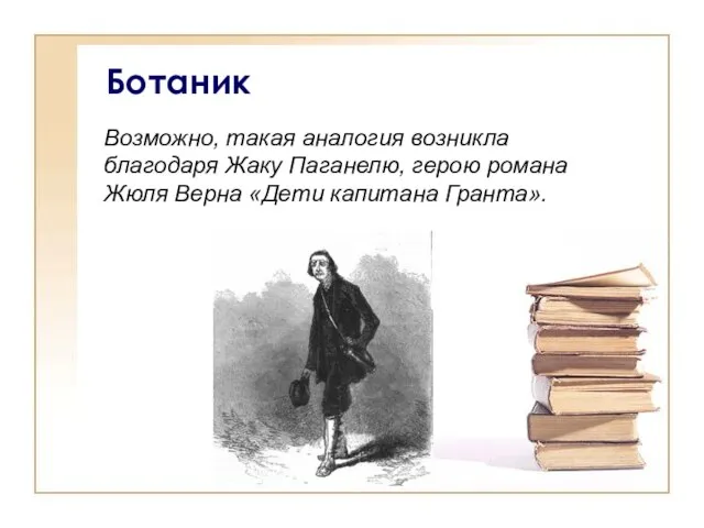 Ботаник Возможно, такая аналогия возникла благодаря Жаку Паганелю, герою романа Жюля Верна «Дети капитана Гранта».