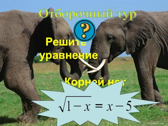 Отборочный тур Решите уравнение Корней нет