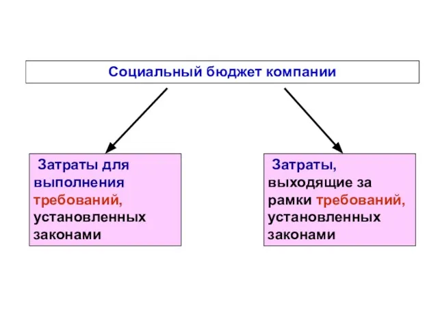 Социальный бюджет компании Затраты для выполнения требований, установленных законами Затраты, выходящие за рамки требований, установленных законами