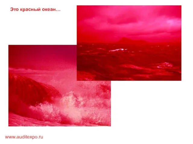 www.auditexpo.ru Это красный океан…