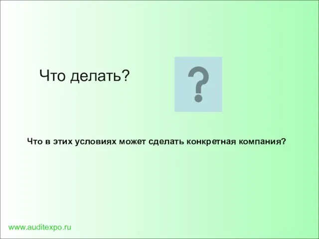 www.auditexpo.ru Что делать? Что в этих условиях может сделать конкретная компания?