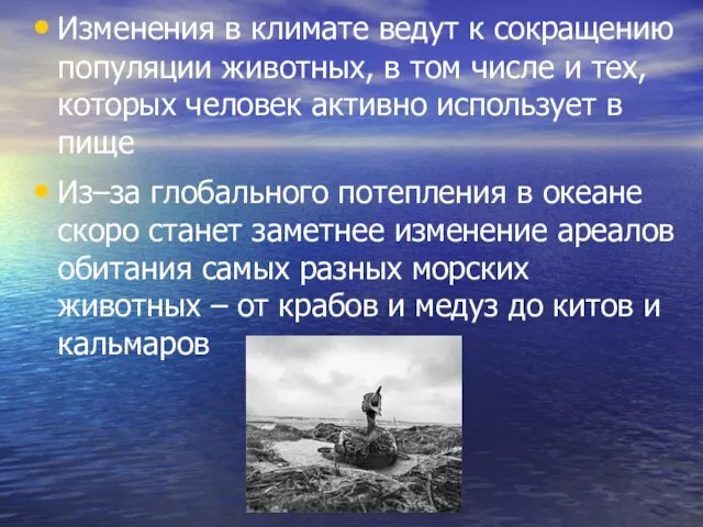 Изменения в климате ведут к сокращению популяции животных, в том числе и