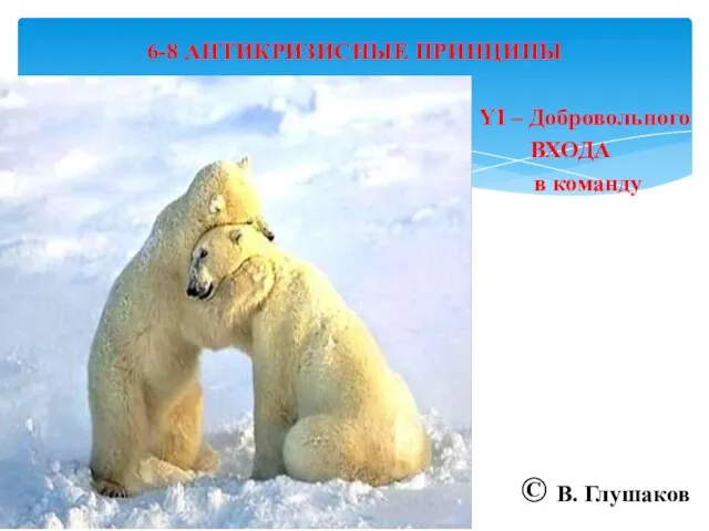 6-8 АНТИКРИЗИСНЫЕ ПРИНЦИПЫ YI – Добровольного ВХОДА в команду © В. Глушаков