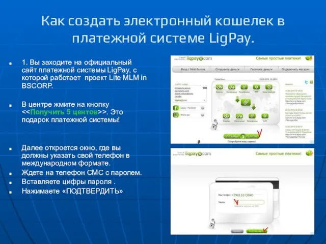 Как создать электронный кошелек в платежной системе LigPay. 1. Вы заходите на