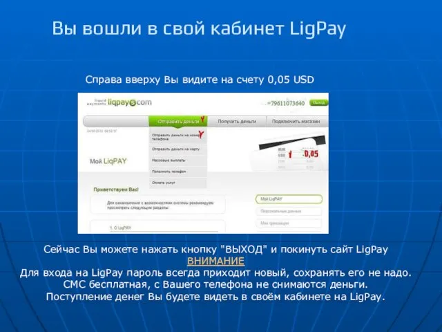 Вы вошли в свой кабинет LigPay Справа вверху Вы видите на счету