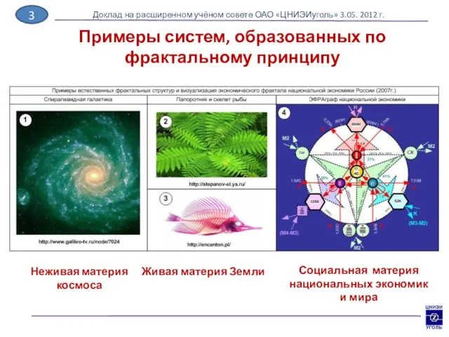 Примеры систем, образованных по фрактальному принципу Доклад на расширенном учёном совете ОАО