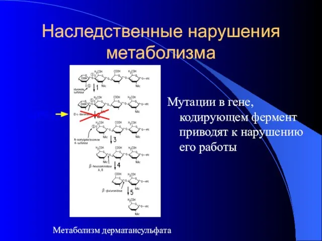 Наследственные нарушения метаболизма Мутации в гене, кодирующем фермент приводят к нарушению его