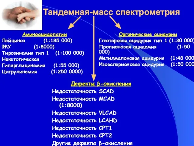 Тандемная-масс спектрометрия Дефекты β-окисления Недостаточность SCAD Недостаточность MCAD (1:8000) Недостаточность VLCAD Недостаточность