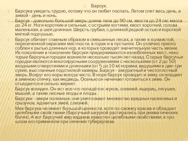 Барсук. Барсука увидеть трудно, потому что он любит поспать. Летом спит весь