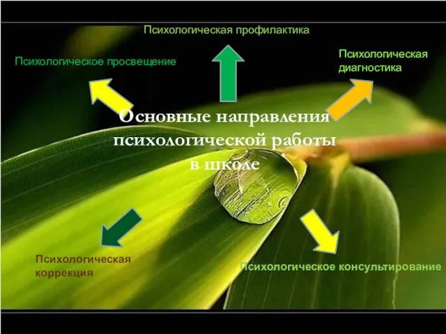 Психологическое просвещение Психологическая профилактика Психологическая диагностика Психологическая коррекция Психологическое консультирование Основные направления психологической работы в школе