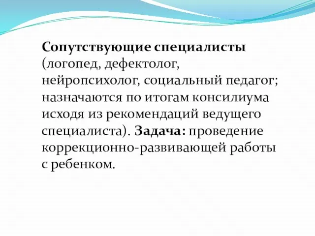 Сопутствующие специалисты (логопед, дефектолог, нейропсихолог, социальный педагог; назначаются по итогам консилиума исходя