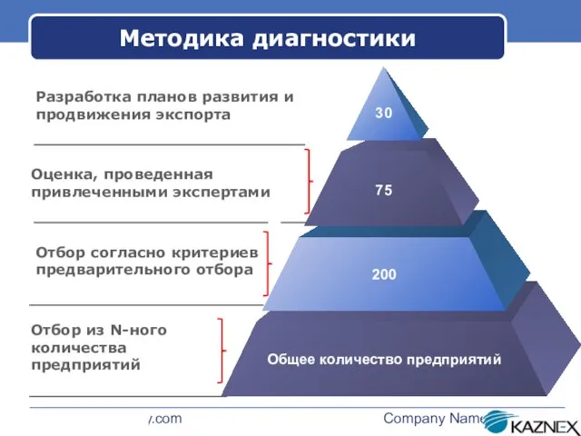 www.themegallery.com Company Name Методика диагностики Оценка, проведенная привлеченными экспертами Отбор согласно критериев