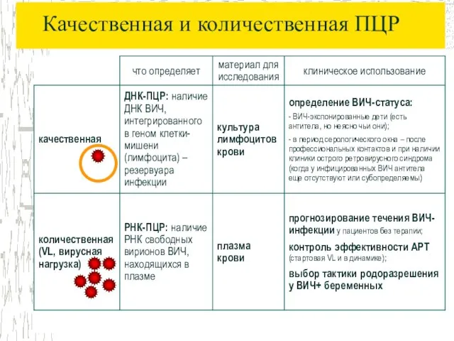 Качественная и количественная ПЦР