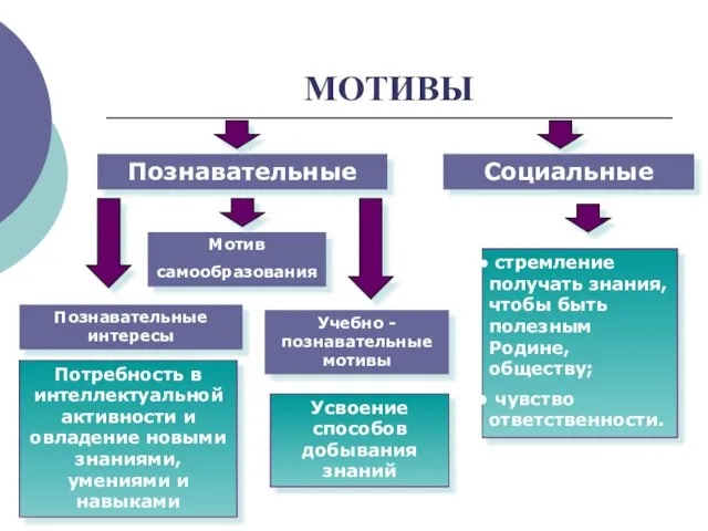 МОТИВЫ Познавательные Социальные Потребность в интеллектуальной активности и овладение новыми знаниями, умениями