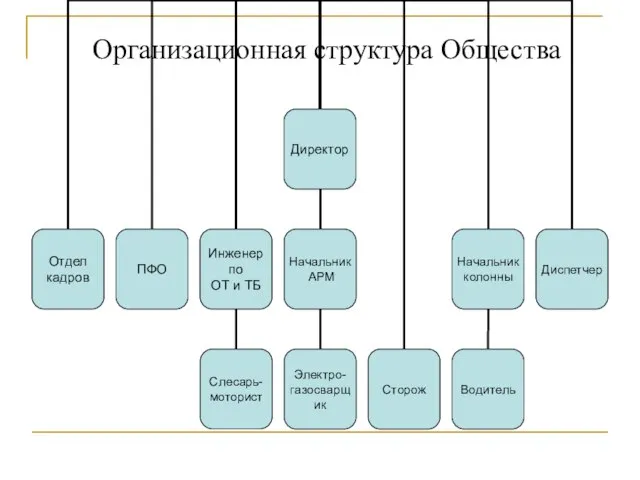 Организационная структура Общества
