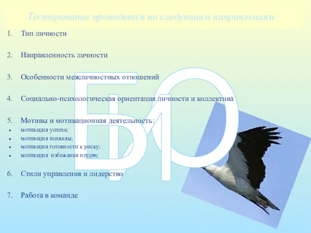 О Тестирование проводится по следующим направлениям : И Б Тип личности Направленность