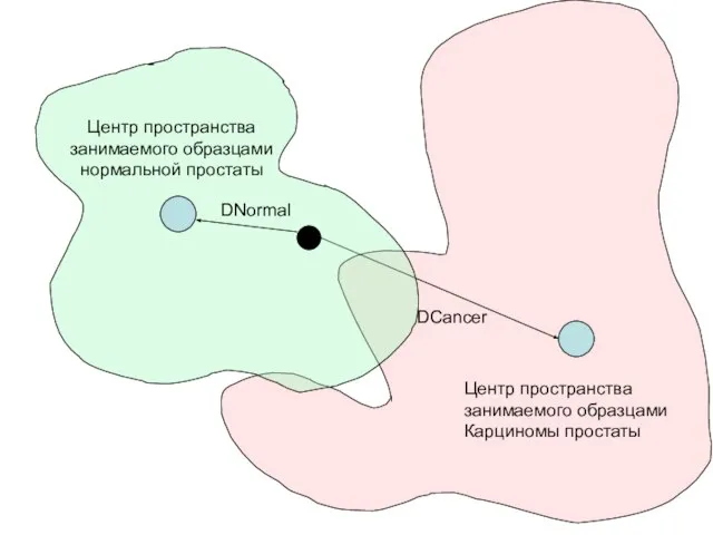 Центр пространства занимаемого образцами Карциномы простаты DCancer Центр пространства занимаемого образцами нормальной простаты DNormal