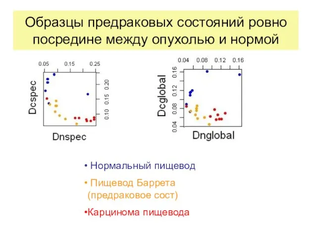 Образцы предраковых состояний ровно посредине между опухолью и нормой Нормальный пищевод Пищевод