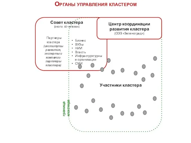 Бизнес ВУЗы НИИ Власть Инфраструктурные организации СМИ Партнеры кластера (институты развития, эксперты