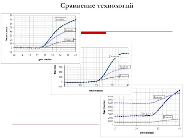 Сравнение технологий