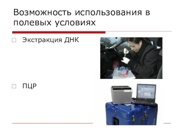 Возможность использования в полевых условиях Экстракция ДНК ПЦР