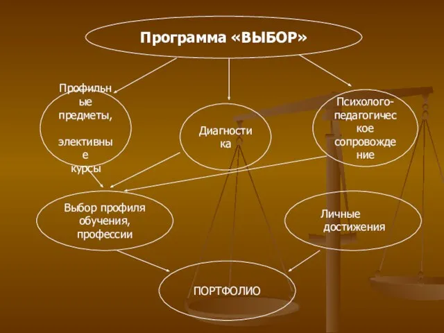 Программа «ВЫБОР» Профильные предметы, элективные курсы Диагностика Психолого- педагогическое сопровождение Выбор профиля