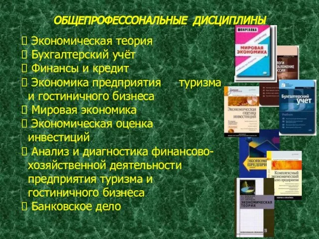 ОБЩЕПРОФЕССОНАЛЬНЫЕ ДИСЦИПЛИНЫ Экономическая теория Бухгалтерский учёт Финансы и кредит Экономика предприятия туризма