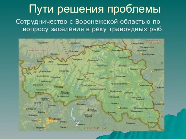 Пути решения проблемы Сотрудничество с Воронежской областью по вопросу заселения в реку травоядных рыб