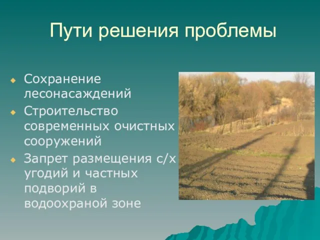 Пути решения проблемы Сохранение лесонасаждений Строительство современных очистных сооружений Запрет размещения с/х