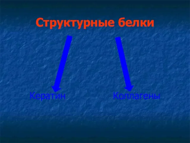 Структурные белки Кератин Коллагены