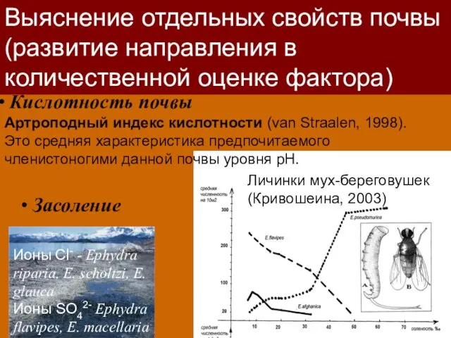 Кислотность почвы Артроподный индекс кислотности (van Straalen, 1998). Это средняя характеристика предпочитаемого