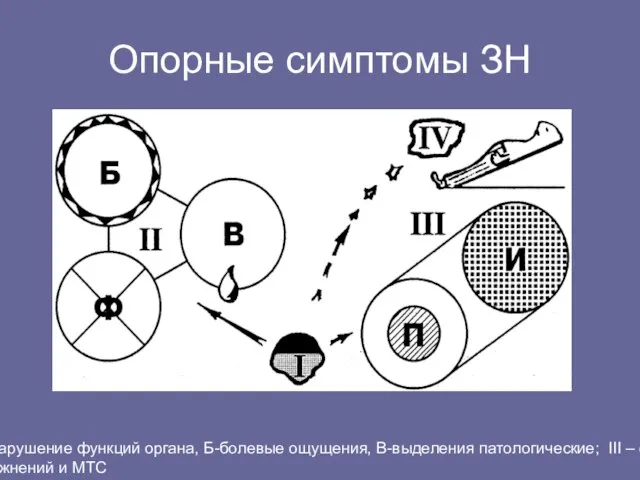 Опорные симптомы ЗН I- ФНОО, II – местные симптомы: Ф-нарушение функций органа,