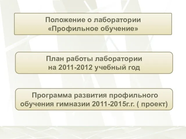 Положение о лаборатории «Профильное обучение» План работы лаборатории на 2011-2012 учебный год