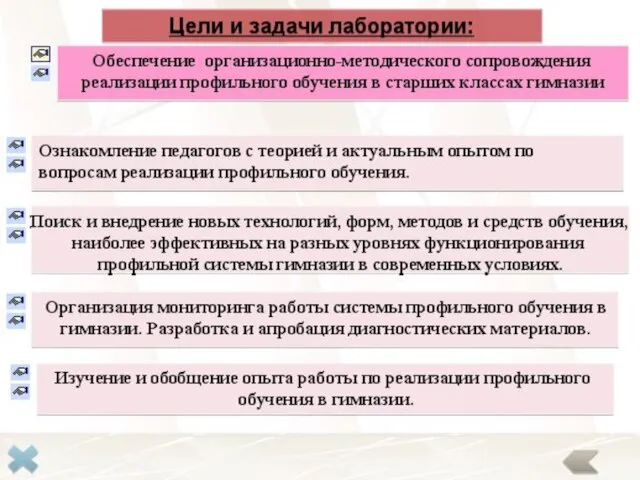 Обеспечение организационно-методического сопровождения реализации профильного обучения в старших классах гимназии Поиск и