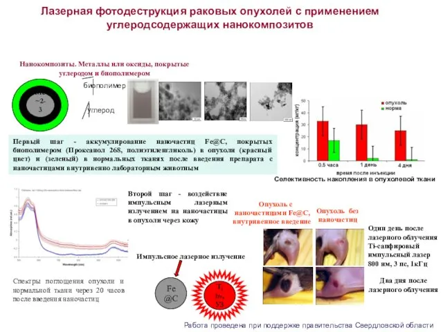 Лазерная фотодеструкция раковых опухолей с применением углеродсодержащих нанокомпозитов Fe@C T, hν, УЗ